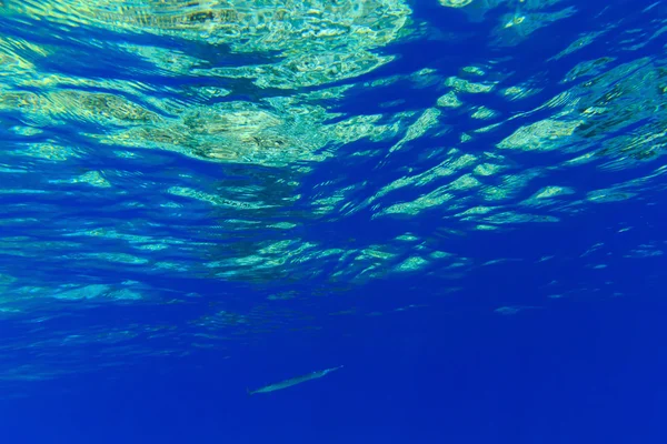 Wasser mit Sonnenreflexionen — Stockfoto