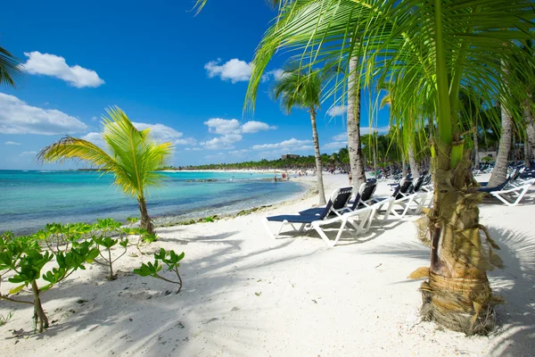 Beach and tropical sea — Stock Photo, Image