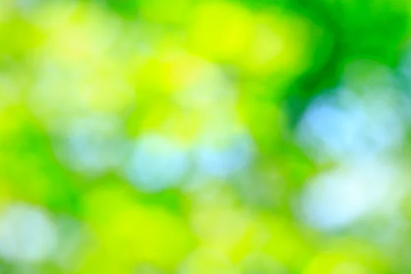 Groene natuurlijke achtergrond — Stockfoto