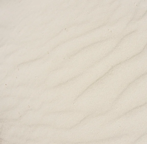 Coral sand background — Stock Photo, Image