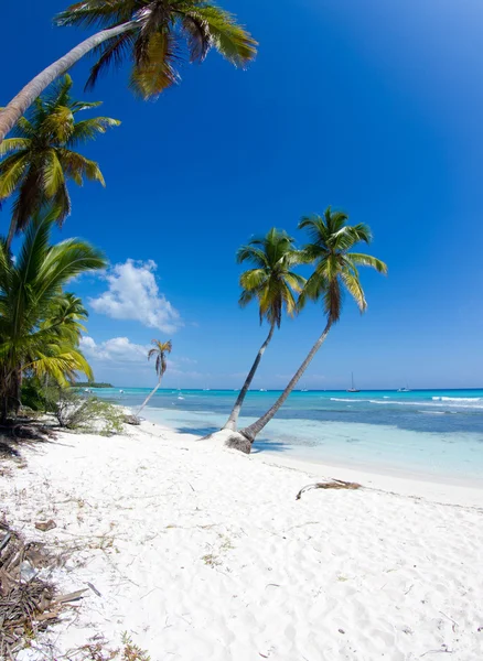 Mare e cielo tropicali — Foto Stock