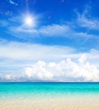 plaj ve tropikal deniz