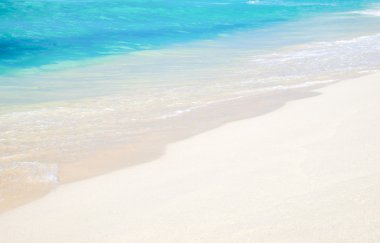 plaj ve tropikal deniz