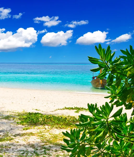 Strand und tropisches Meer — Stockfoto