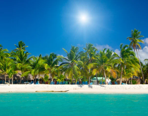 Palmbomen op het strand — Stockfoto