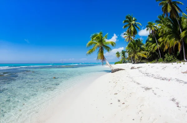 Beach and tropical sea — Stock Photo, Image