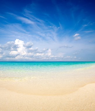 plaj ve tropikal deniz