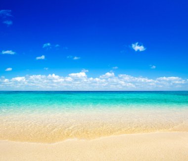 plaj ve tropikal deniz