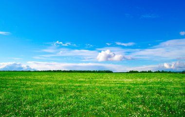 yeşil alan ve gökyüzü