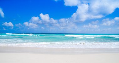 plaj ve tropikal deniz