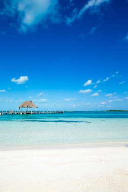 plaj ve tropikal deniz