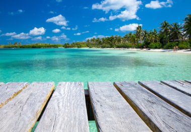 plaj ve tropikal deniz