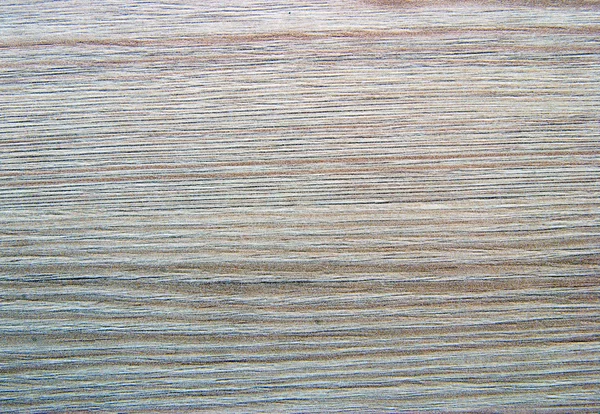 Texture of wood background — Stock Photo, Image