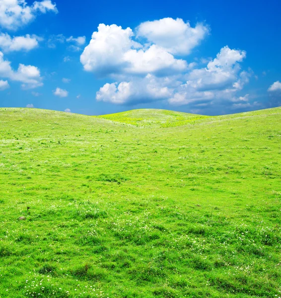 Zöld mező és ég — Stock Fotó
