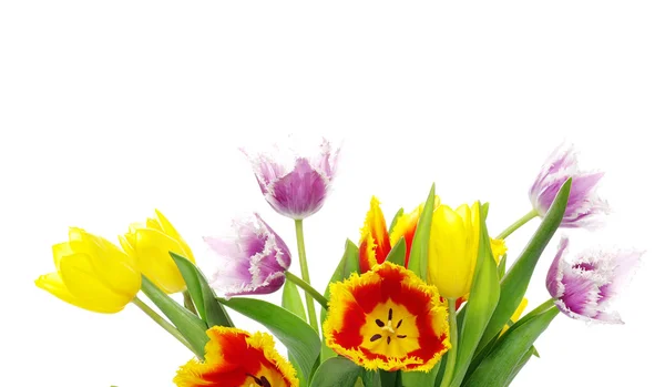 Boeket van tulpen bloemen — Stockfoto