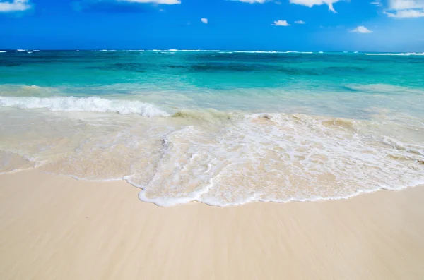 Pantai dan laut tropis — Stok Foto