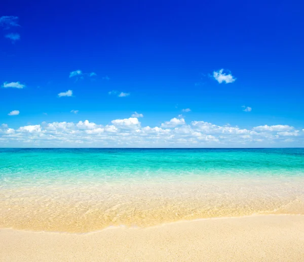 Spiaggia e mare tropicale — Foto Stock