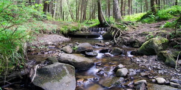 Cascades klart Creek — Stockfoto