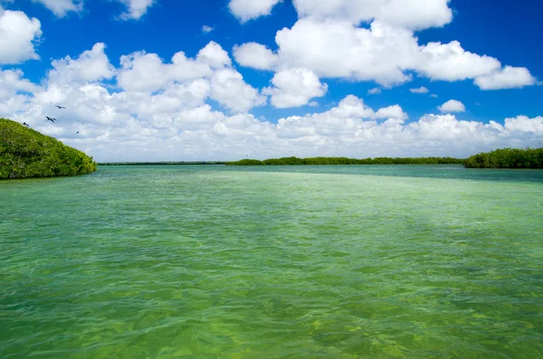 Wunderschönes tropisches Meer — Stockfoto