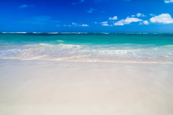 Pláž a tropické moře — Stock fotografie