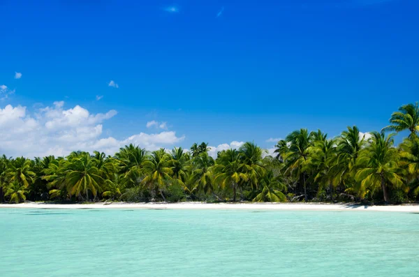 Wunderschönes tropisches Meer — Stockfoto