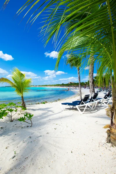 Playa de mar tropical — Foto de Stock