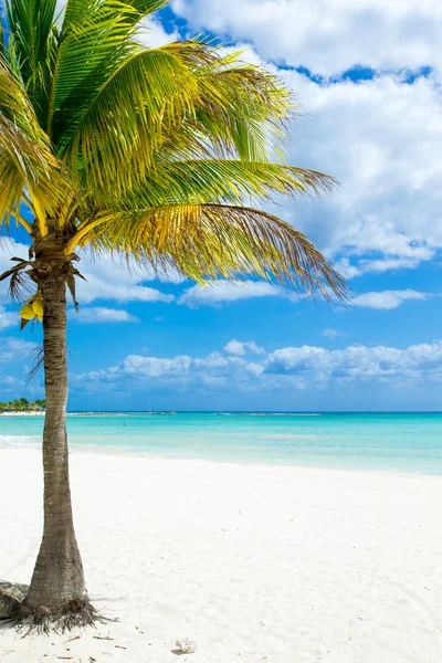 Spiaggia e mare tropicale — Foto Stock