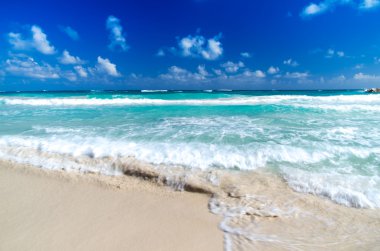 plaj ve tropikal deniz