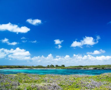 plaj ve tropikal deniz