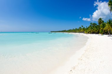 plaj ve tropikal deniz