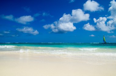 plaj ve tropikal deniz