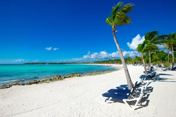 Playa y mar tropical — Foto de Stock