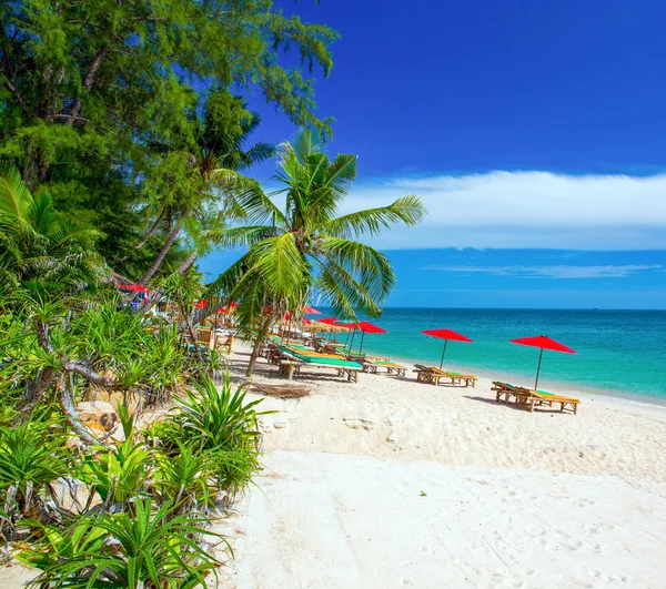 Spiaggia e mare tropicale — Foto Stock