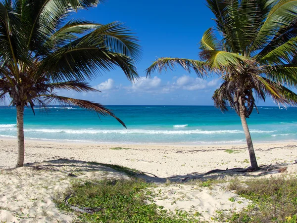 Playa y mar tropical — Foto de Stock