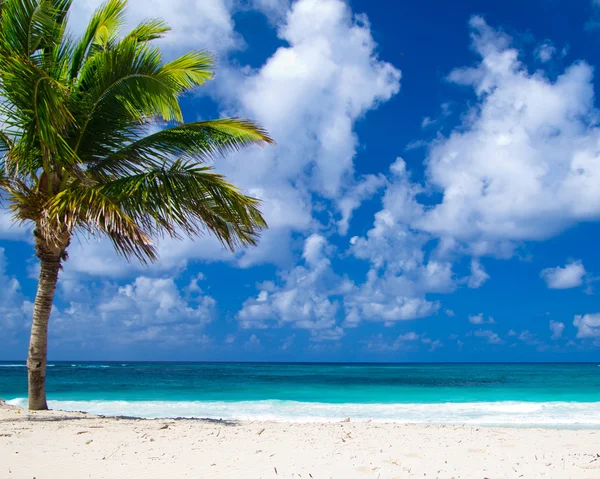 Beach and tropical sea — Stock Photo, Image