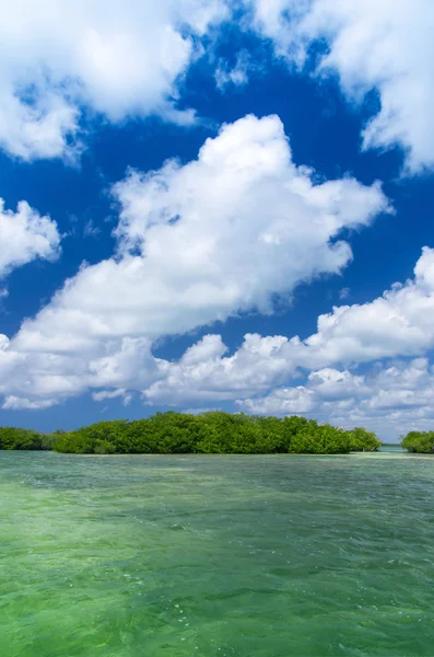 Beach and tropical sea — Stock Photo, Image