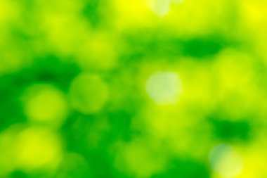 Yeşil bokeh arka plan