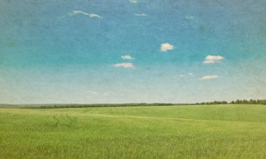 yeşil alan ve gökyüzü