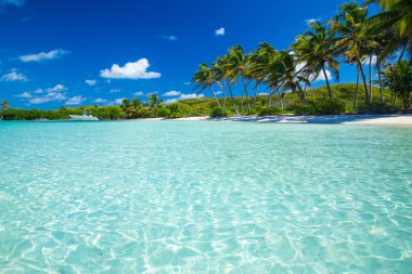 plaj ve tropikal deniz