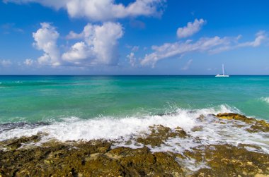 plaj ve tropikal deniz