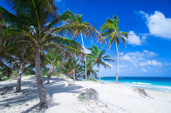 Beautiful tropical sea — Stock Photo, Image