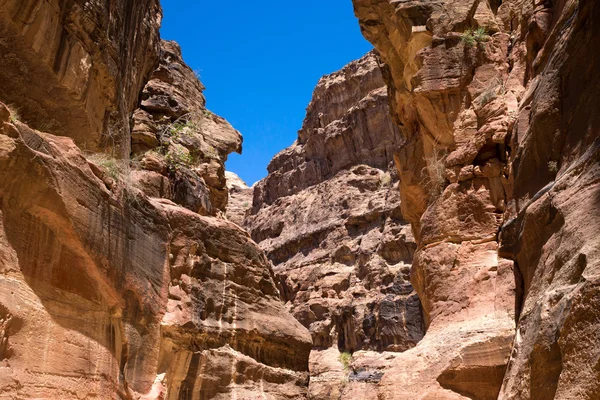 Siq, estreito canyon slot em Petra — Fotografia de Stock