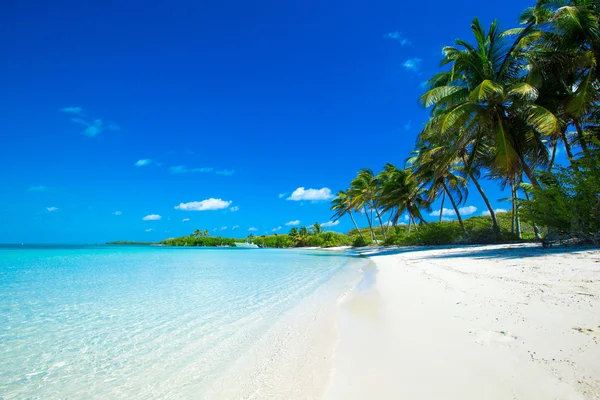 Praia e mar tropical — Fotografia de Stock