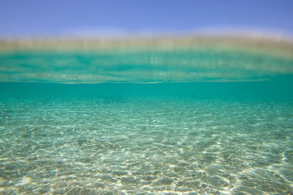 Tranquila escena submarina — Foto de Stock