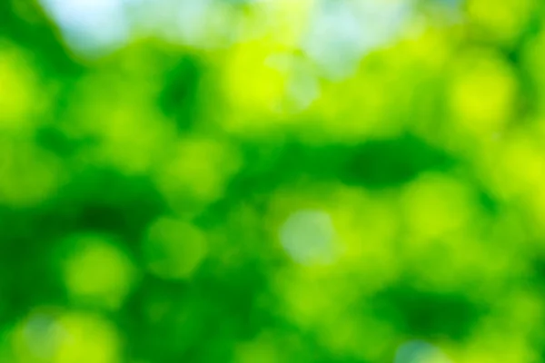 Natural green background — Stock Photo, Image