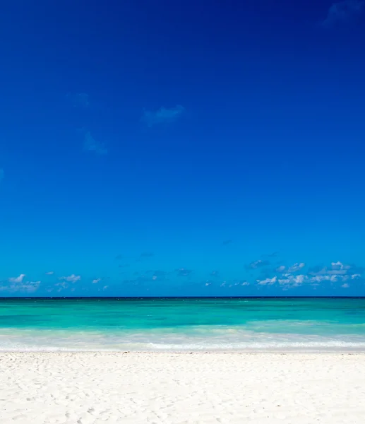 Spiaggia e mare tropicale — Foto Stock