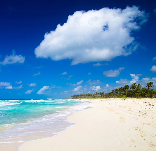 Caribische strand en palm bomen — Stockfoto