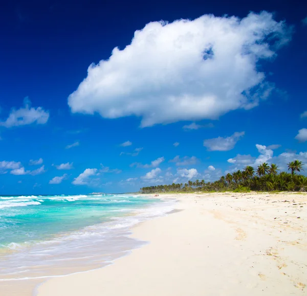 Spiaggia dei Caraibi e palme — Foto Stock