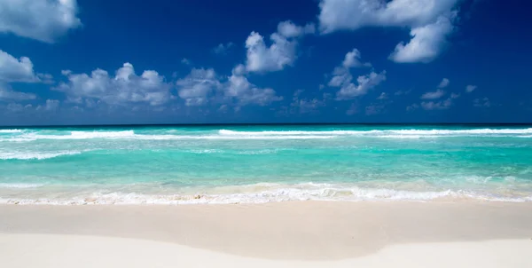 Plage des Caraïbes et palmiers — Photo