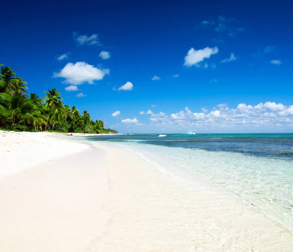 Praia e mar tropical — Fotografia de Stock